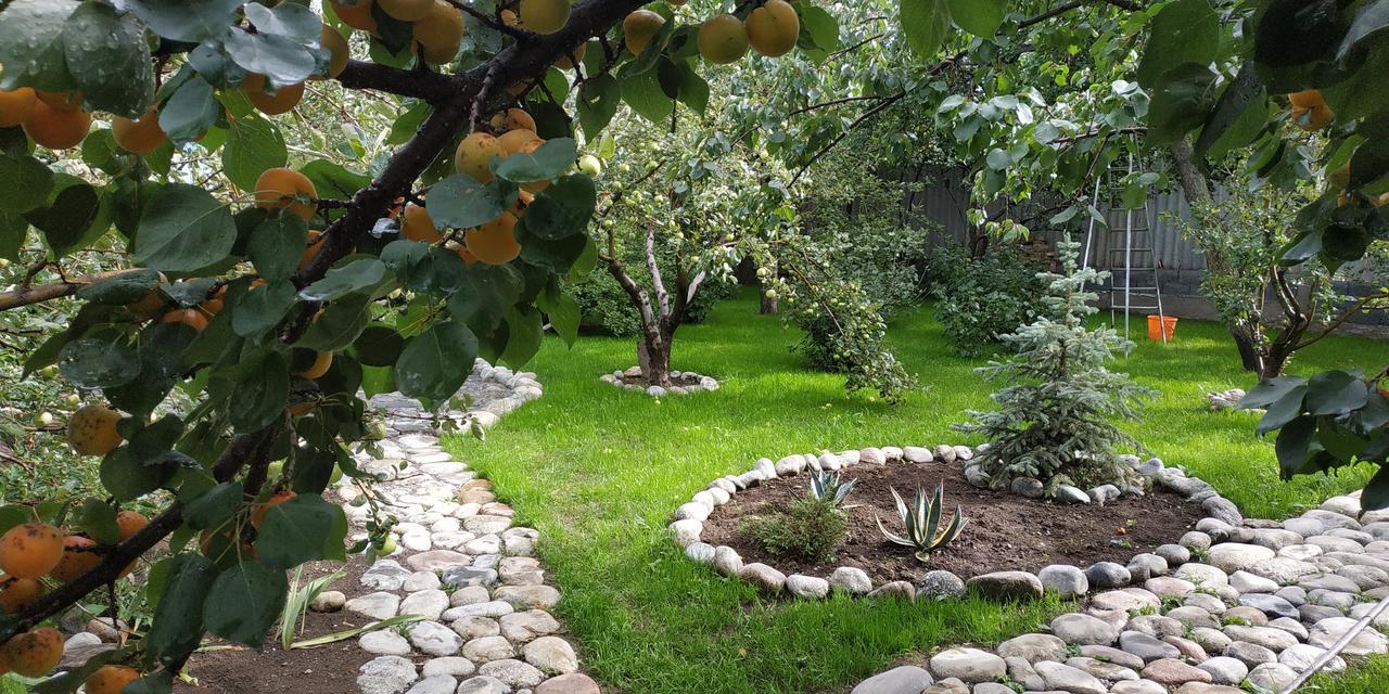 Evergreen Guesthouse Karakol Esterno foto